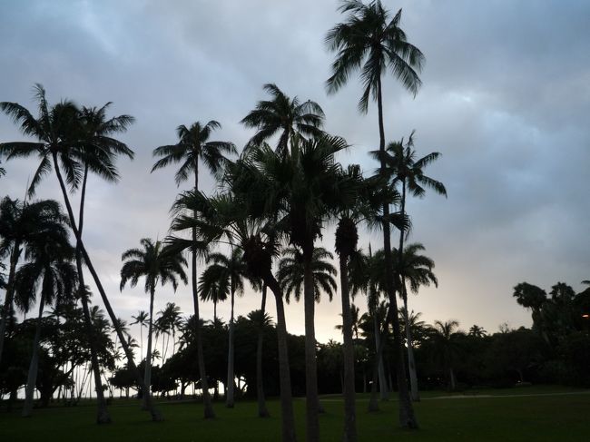 ディナーをしにワイキキまでお散歩。<br />そろそろサンセットじゃない！？<br />ヤシの木が影絵みたいでキレイ☆