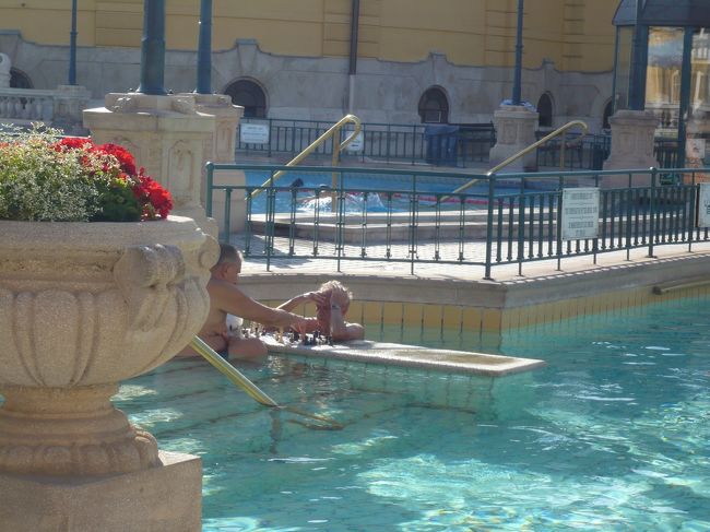 あ、チェスやってるおっさん達、いた〜！<br />こっそり影から撮影させていただきました…。<br />きっと、もう撮られるのも慣れてるんだろうな〜。