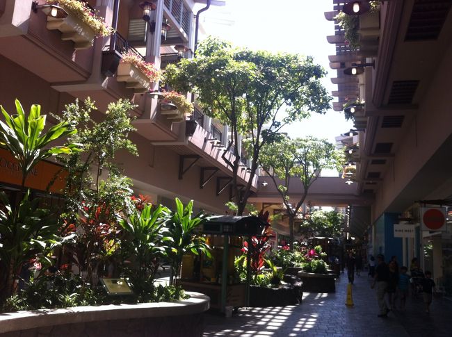 証拠にも無く、またアラモアナＳＣ（笑）<br />＆ウォルマートでショッピング〜♪<br /><br /><br /><br />