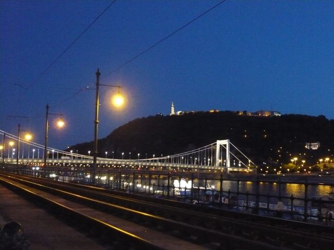 お〜、白い橋全体がライトアップで光って見えて<br />ライトアップはこの橋が一番綺麗かも？