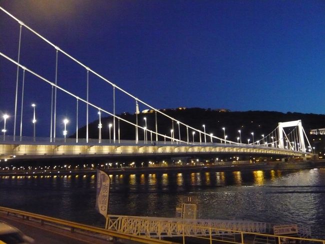 橋ってやっぱりアングル難しい…。<br />でもやっぱり夜は綺麗だな。<br />来てよかった。