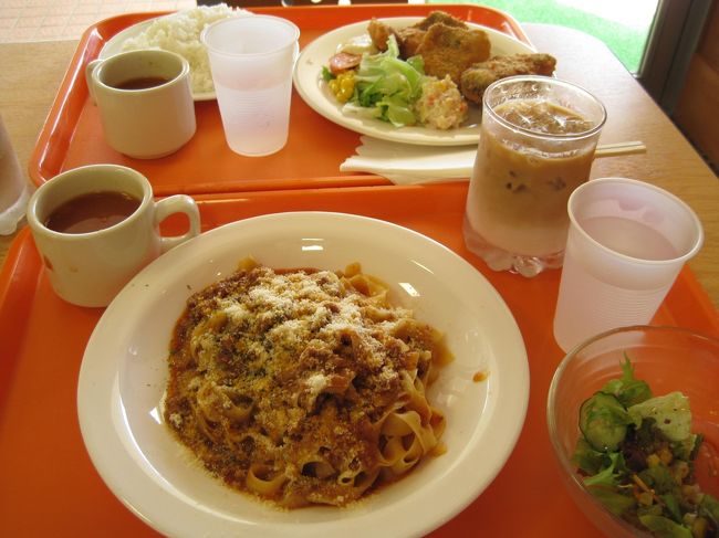 うさぎ平テラスでランチ♪