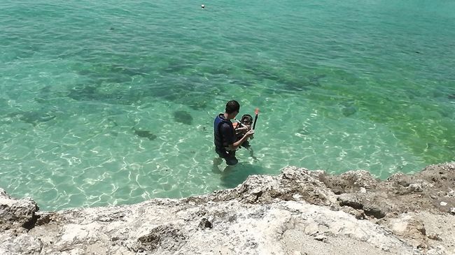 早速、長男もシュノーケリングに挑戦。ほとんどシュノーケルは必要ありませんでしたが（息子には使い物にならない）、足元にもかなりの魚が寄ってきて、顔をつけるだけで見れました。