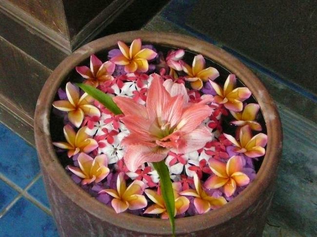 【2008年の旅行記です】<br /><br /><br />ホテルが朝食付きだったので<br />あまり外で食べなかったのを後悔しています。<br /><br />いろんな所で、いろんな物を食べたいのに･･･