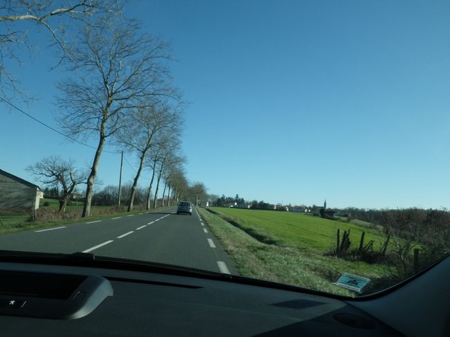 良い天気のドライブ日和。<br />例年に無く暖かい冬のためか草が青々しています。