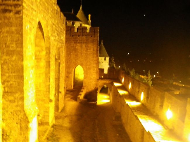 さて腹ごしらえも済んだし夜の散歩です。<br />城壁内に泊まった目的はコレ！<br />ライトアップされ人けの無くなった城内は中世の雰囲気満点。