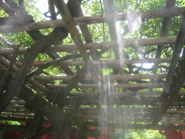 ☆おまけ☆<br /><br />春日大社は藤でも有名らしく<br />立派な藤棚があったのですが<br /><br />時期ではなかったけど夏らしくミストが♪ <br />涼しかった〜☆