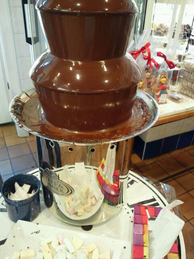 チェコ。<br />滝のように流れています。<br /><br />試食できました。<br />