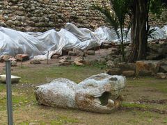 ジャガーの神殿に向かう。

その途中の遺跡保護柵の内側に、落ちているククルカンの頭部を発見。
角が取れて、笑っている様な顔に変わっている。
