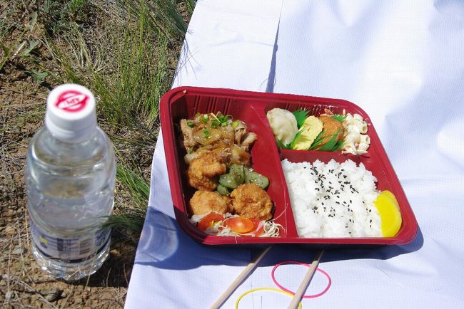 　ランチは唐揚げ弁当…美味しかったのですが，見た目も味も日本的です。