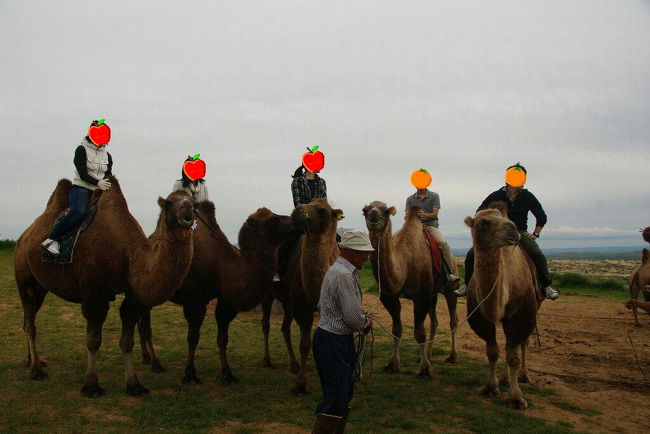 　ラクダは乗るとき四つ足を折りたたんで「伏せ」をしてくれるのですが，立ち上がるときが大変です。立ち上がる衝撃で前のめりに落ちそうになる女子もいましたが，女子チーム全員無事乗駱駝しました。