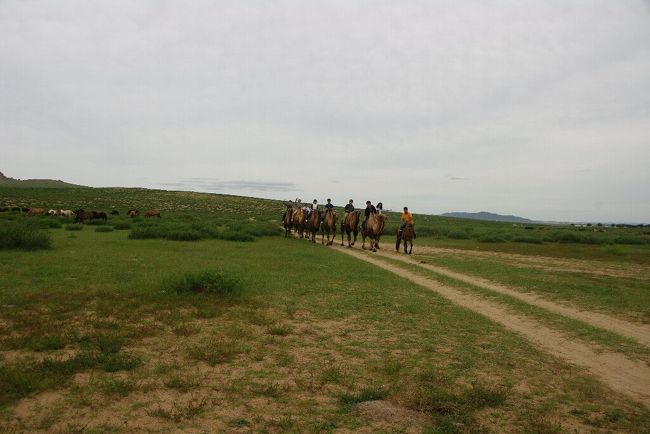 　スタートしてから４０分前後歩き回りました。歩みがゆっくりなので総移動距離としては２〜３キロぐらいでしょうか。楽しかったです。