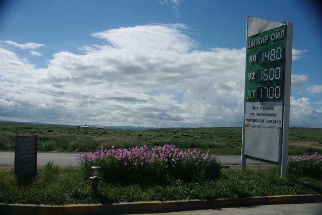 　キャンプを出発して約５０分，この旅初めての給油です。ガソリンの値段はよくわかりませんが内陸部なので輸送費もかかり，決して安くはないと思われます。<br />　ガソリンスタンドにはコスモスが植えられ，８月ですが”秋”を感じさせます。前方の草原にはゲルが二棟建ち，ここがモンゴルであることを教えてくれます。<br />　ここから本日最初の目的地であるハラホリンまでは７０キロあります。