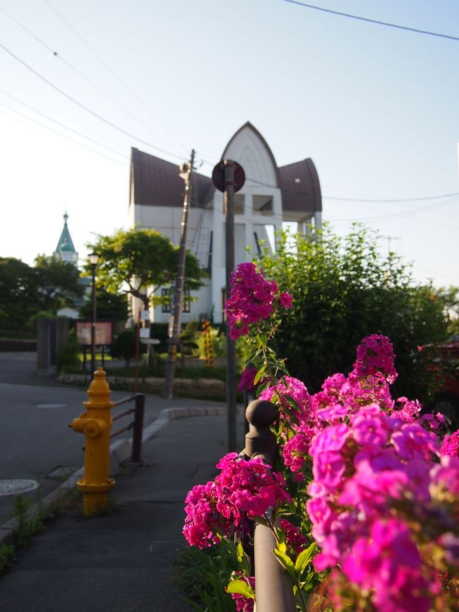 ちょっと尖った屋根が特徴の函館聖ヨハネ教会。<br /><br />道端のお花と黄色い消火栓が、建物とマッチしてるかも。