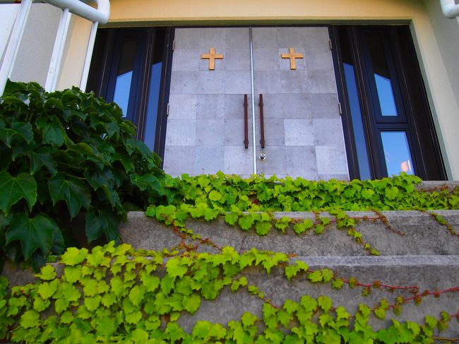 最初のコスモス越しに見た扉が、正面入り口だと思い込んでいたら。。。