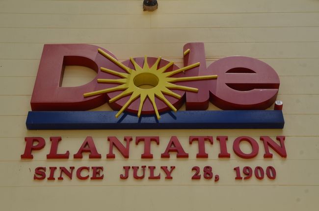 今日は一日オアフの定番コースをおさらい・・<br />ワイケレ〜ドール〜モアアルナ