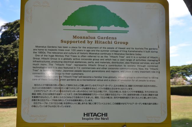 ・・・実は初めて来ました・・・