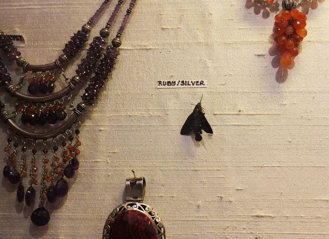 どうみてもRUBY&amp;SILVERでできているとは思えない。絶妙な場所にとまっていた蛾。