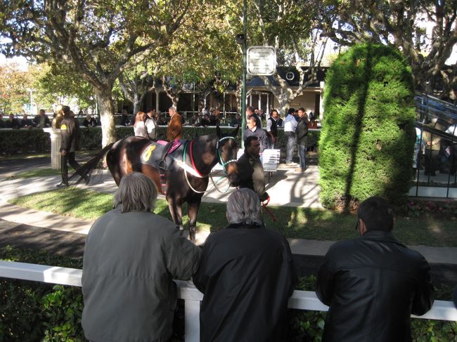 2012 ブエノスアイレス パレルモ競馬場はなかなかきれいで設備も充実してます!