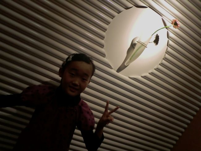 この日の夕食は、ホテル内レストラン「コッコラーレスペシャリテ」のフレンチ。<br />ビュッフェの一角に、フレンチや鉄板焼きのコーナーがあります。<br /><br />エレベーターの中です。<br />