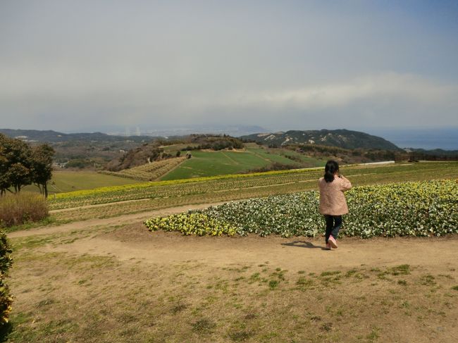 帰りに淡路花さじきに立ち寄りました。
