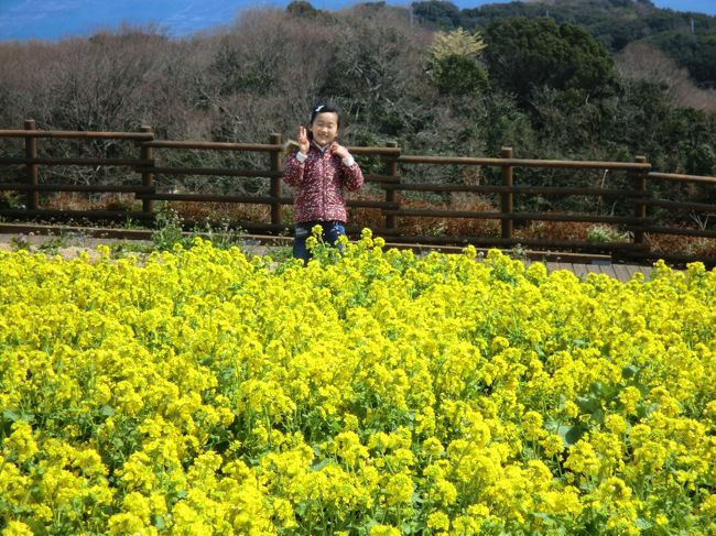 それでも、海と花とのコントラストが美しく、十分満足です。