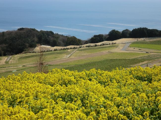 天気は良いのですが、風が冷たく・・・。