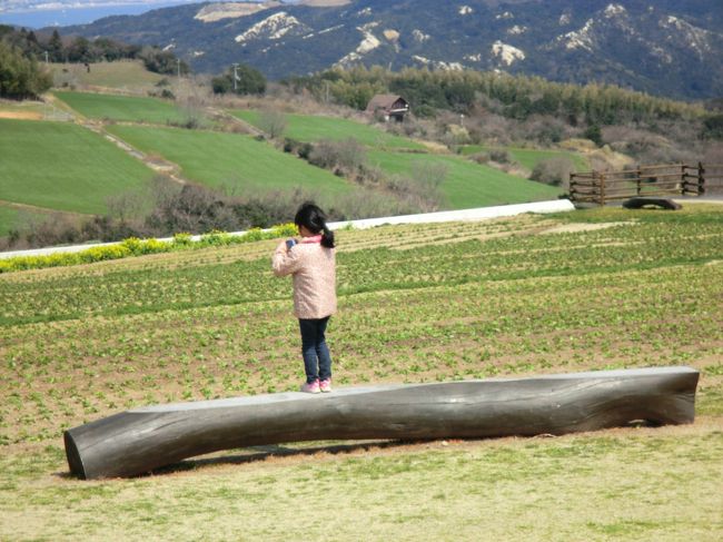 予想ではもっと咲いているかと思っていましたが