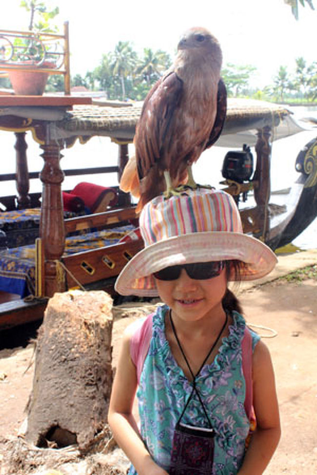 昼ごはんを食べた場所で飼っている鷲。おとなしくて賢い。<br /><br />旅先で動物に触るのはNGと子どもにさんざん言っておきながら、友人も自分も触りまくり。しかも猛禽類……。