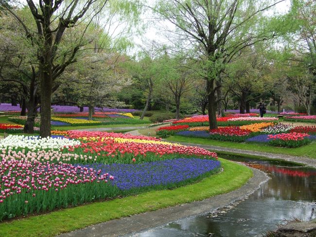 小川の横をチュリップを中心に色とりどりの花が咲き乱れています。