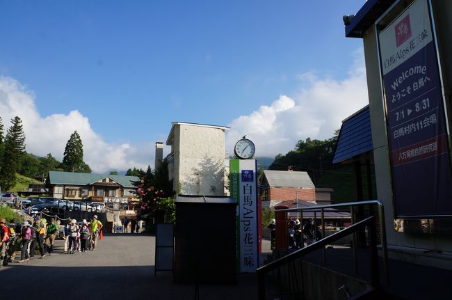 夏の白馬をバス旅で 八方尾根 岩岳 長野県 の旅行記 ブログ By かむ猫のはなこさん フォートラベル 夏の白馬をバス旅で 八方尾根 岩岳 長野県 の旅行記 ブログ By かむ猫のはなこさん フォートラベル
