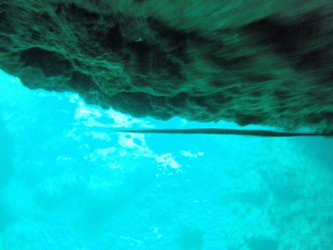 カマスのような細い魚が群れをなしたくさん水面近くを泳いでいます<br /><br />アオヤガラ？<br /><br />