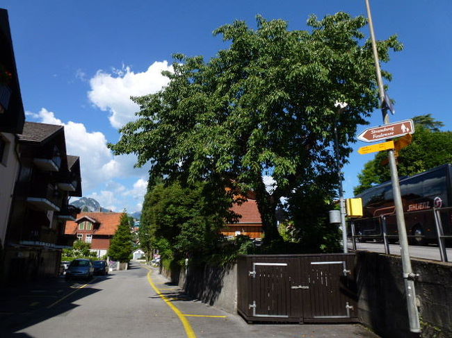 さぁー！ここからが大変です。<br /><br />シュピーツの駅まで上りです！<br /><br />この坂がイヤなので逆コースにしたかったんですが、船の時間が合いませんでした(>_<)