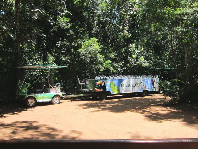 いったんホテルに戻ったら、いよいよ、滝に突入のスピードボートへ。ガイドさんから「水着」を勧められた私たち。Y嬢は準備よく持ってきていましたが、S嬢はホテルでお買い上げ〜！私は水着になる勇気がなかったのでTシャツで臨みます。ボート乗り場へは、ジャングルクルーズみたいなジープバスで、途中ジャングルの木々の説明など受けながら数分かけて行きます。