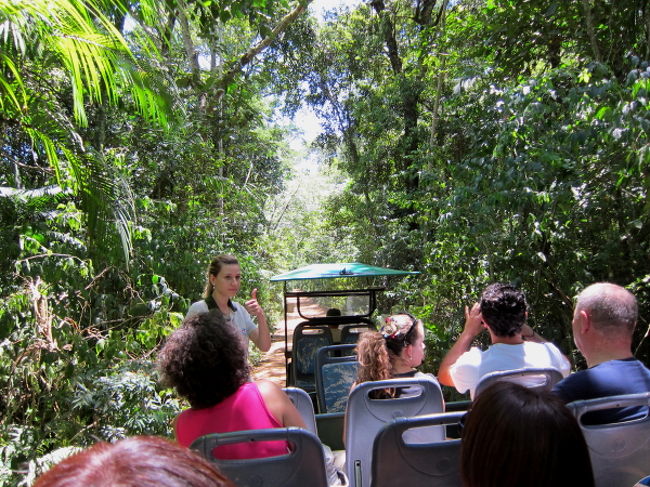 韓国のツアー客と乗り合わせたのですが、途中で彼らは歩きコースに行き、私たちは小さな車に乗り換えて乗り場まで。