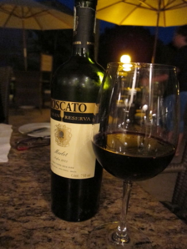 ずっとアルゼンチンのマルベックを飲んできたので、ブラジルのメルローにしてみました。