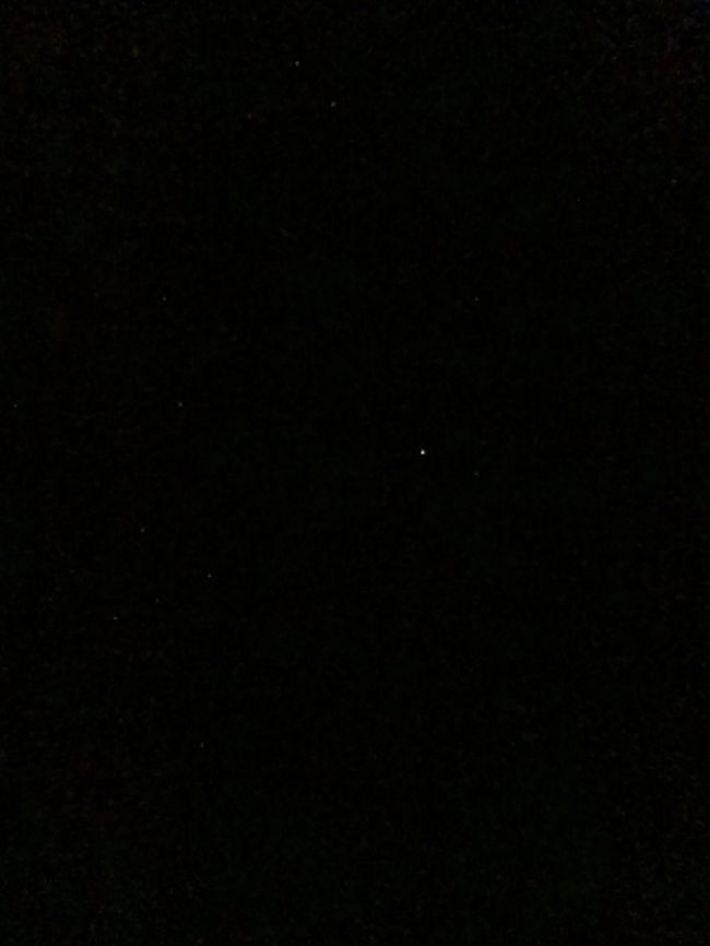 WEBではきっとよくわからないですよね・・・南十字星。