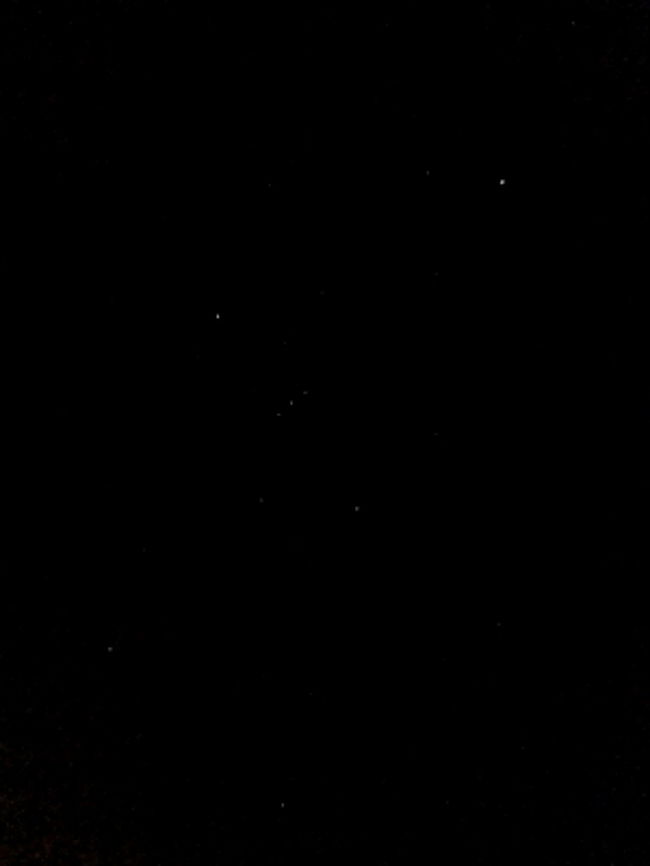 こっちは逆さまになってるオリオン座です。