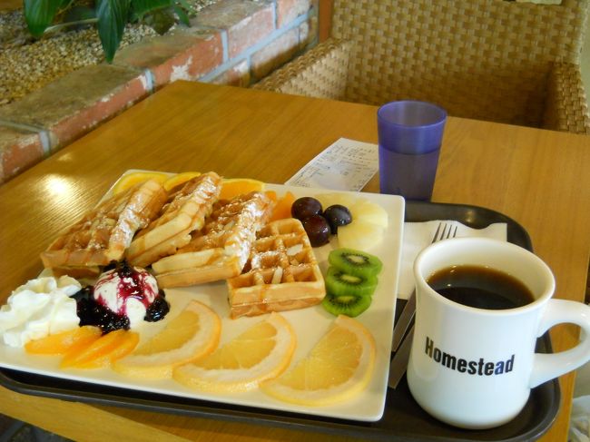 買い物して小腹がすけば、甘いものだってほしくなる。<br /><br />「HOMESTEADCOFEE」でワッフル11500ウォン、コーヒー3700ウォン。<br /><br />もう満腹・・・