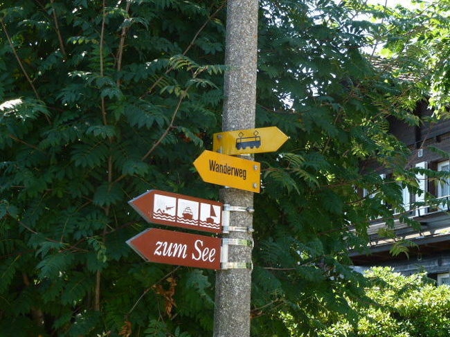 電車の道標を頼りに・・・