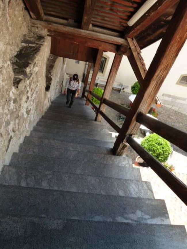 何処まで上ればいいんだ〜(;O;)