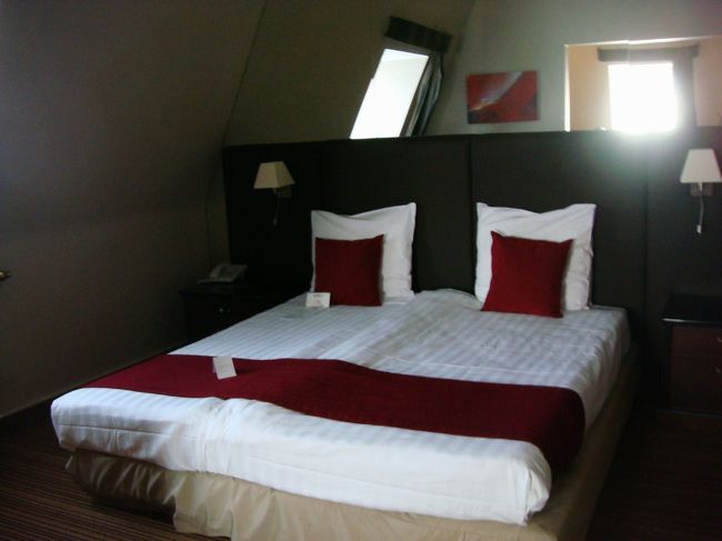 ホテルは中央駅前のカルフールデュロップ。<br />駅から通路でつながってて、しかもお部屋から市庁舎が美しい。<br />なかなかのものです。<br />でも主人は着の身着のままになって、すっかり意気消沈。<br />スーツケースは一旦パリまで行って帰ってくるので、3時間ほど後になるんです。