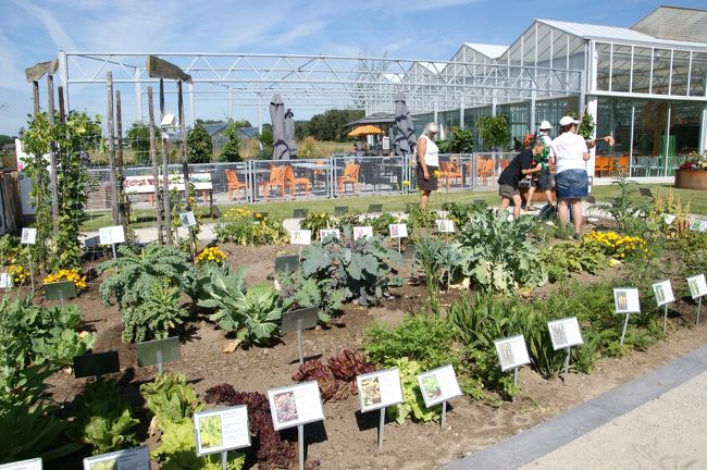 ロープウェイで西の端”環境”のエリアから”リラックス＆ヒール”のエリアへ移動し、歩いて”教育と革新”のエリアに来ました。<br />ここでは変わった野菜や将来に役立つ植物の栽培などが展示されています。