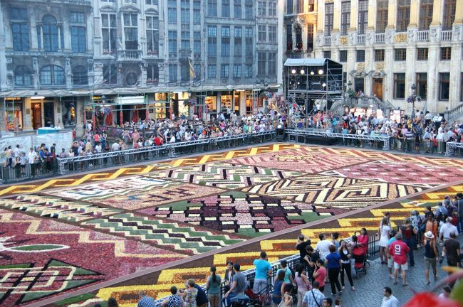 毎回テーマがあって２年前の２０１０年は”ヨーロッパ”だったそうですが、今年のテーマは”アフリカ”です。