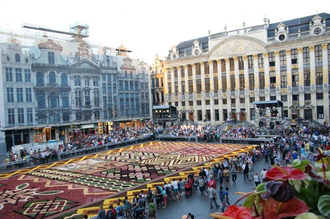 フラワーカーペットは約２０００?あり、１?あたり３００個近いベゴニアの花で覆われていて、約７５万個の花が使われています。<br />向かって右側の建物はブラバン公爵の館です。