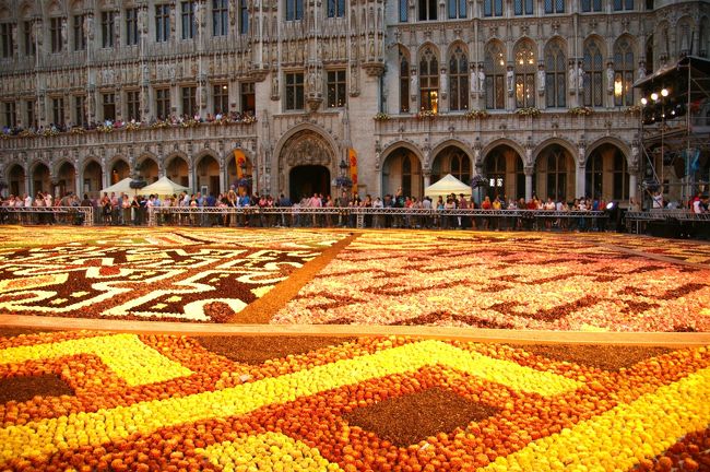 段々と時間が経ってきて、ライトアップされてきました。