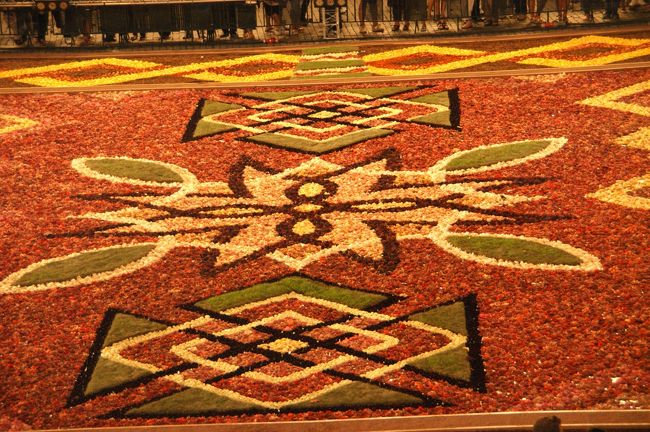 時間の経過とともに、花の色も光を浴びて変わってきました。これは何を表しているのでしょうか。。