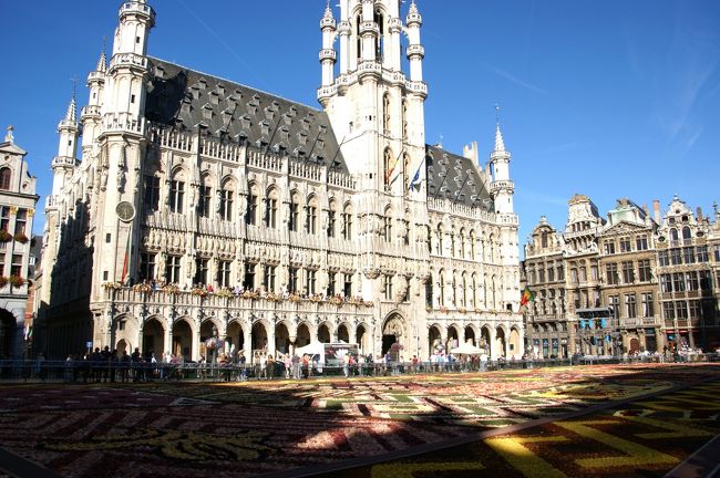 翌日、朝のグランプラスのフラワーカーペットです。建物は昨日上がった市庁舎です。