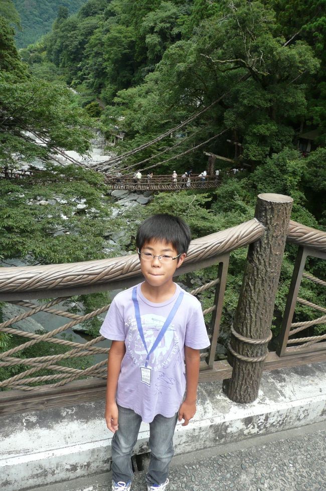 高知を後に大阪へ向かいます<br /><br />途中徳島のかずら橋へ寄り道