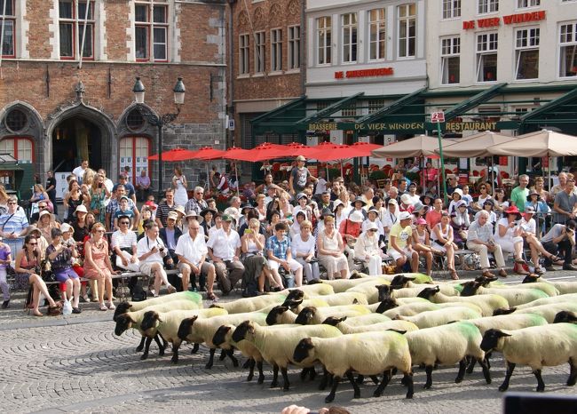 羊さんまで登場です。